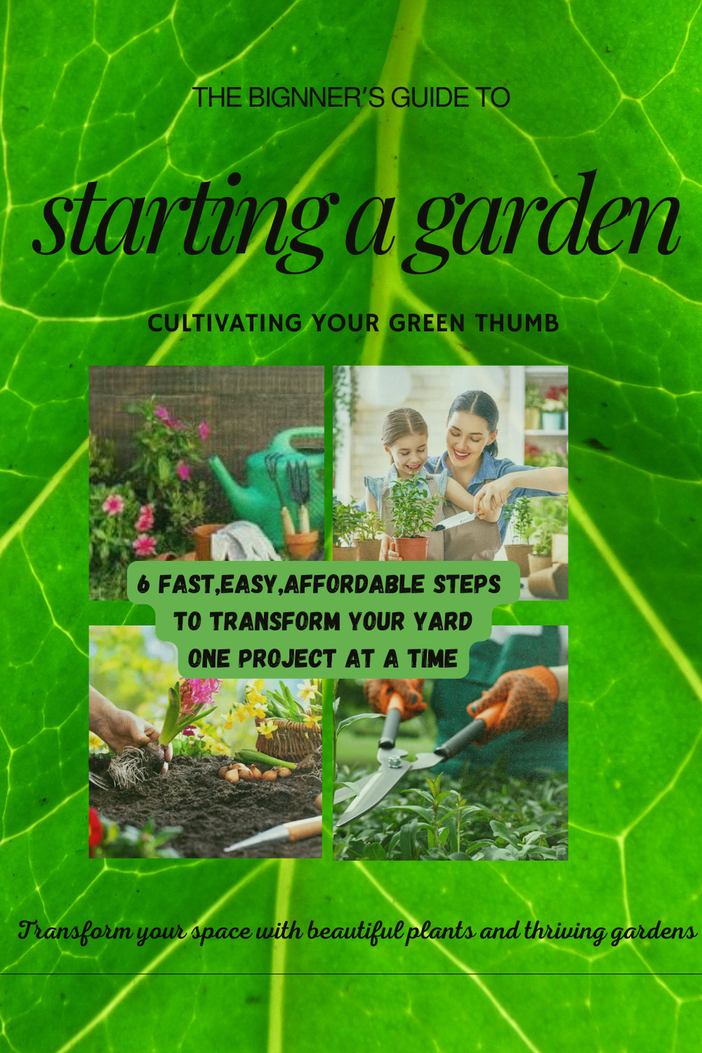 Gardening for Beginners Ebook, 6 fast,easy,affordable steps to transf